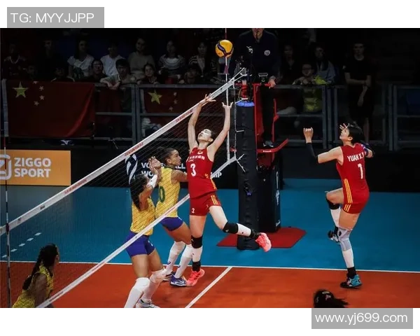 成都排球队的节奏变革引发热议助力排球运动新发展 成都排球队的节奏变革引发热议助力排球运动新发展