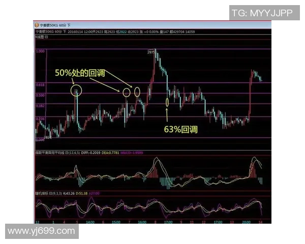 深入分析V5战队反击战术的成功秘诀与实战应用